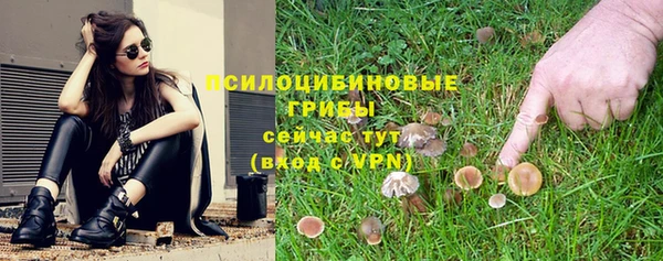 мяу мяу мука Медногорск
