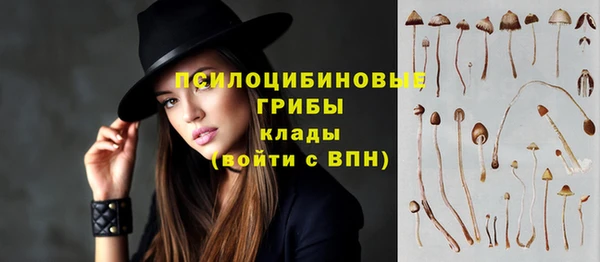 бошки Михайловка