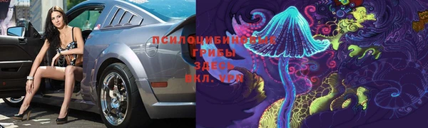 винт Медвежьегорск