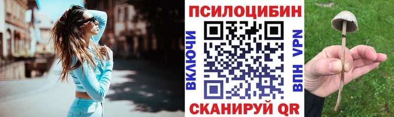 Псилоцибиновые грибы мицелий  продажа наркотиков  Шимановск 